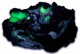 Fluorescent, Gemmy Adamite Crystals on Matrix - Mexico #356636-1